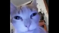 Momazo :v Thumb