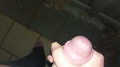 Painting the fence Thumb