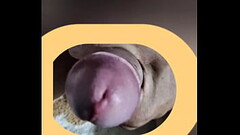 Mi verga Thumb