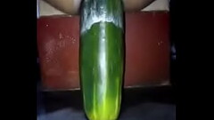 DELICIA DE PEPINO Thumb
