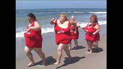 Fat Beach Patrol (Volume #1, Scene #5) Thumb