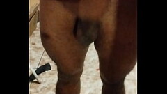 Aquela punheta marota. Thumb