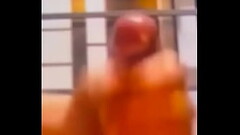 Need a lady'_s lips around this!!! Thumb