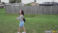 A Cute Bunny In The Bus Thumb