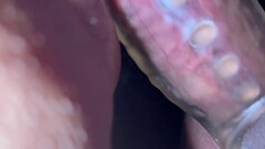 My wife got super horny Thumb