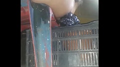 Elmane Thumb