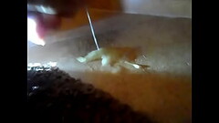 PLAYING WITH CUM MESS IN THE BATHROOM Thumb