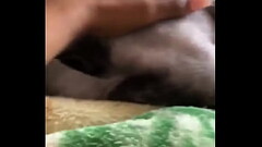 Thot recorded me with my phone giving her morning head Thumb