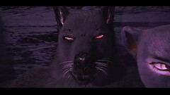 Spotlight. - A furry encounter Thumb