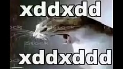 V&iacute_deo de verificaci&oacute_n Thumb