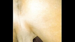 Big Ass Showing Thumb