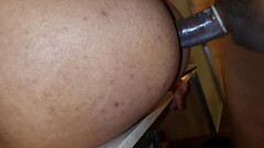 Gay 178 Thumb