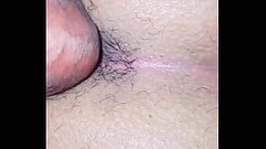 Gay 115 Thumb