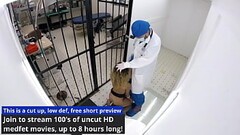 Kalani Luana'_s Stomach Gets Blasted With Cum By Doctor Tampa On BlastABitch - Reup Thumb