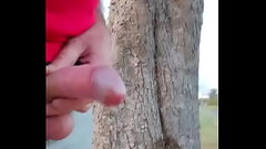 Masturbation publique, Thumb