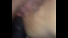 Zaytiggi Thumb