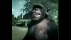 Video lheye Thumb