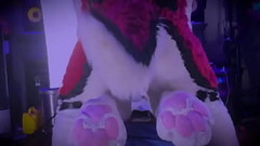 Jessefrost follada por cenny en estilo perrito Thumb