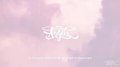 Midnight Pussy / TransAngels  / download full from www.tafuck.com/toni Thumb