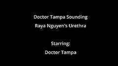 Asian Teen Raya Ngueyn Piss Hole Gets Penetrated With Surgical Steel Sounds By Doctor Tampa Courtesy Thumb
