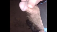 Night time show and tell Thumb