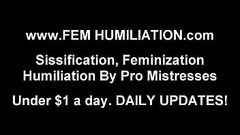 You are a cute little sissy slut Thumb