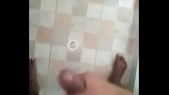 Verga negra y grande Thumb