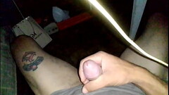 Acorda tartaruga Thumb