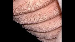 Mr Monster Man simply ravishing BlueeyedSavage with his big dick Thumb