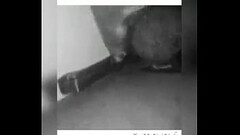 A testicle kept moving out of his scrotum so he removes a bow tie from his collar and wraps it aroun Thumb