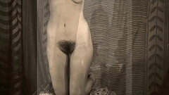 Dark Lantern Entertainment presents Two Centuries Of Vintage Porn Thumb