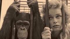 Vintage Taboo, Pussy &amp_ Pooch Thumb